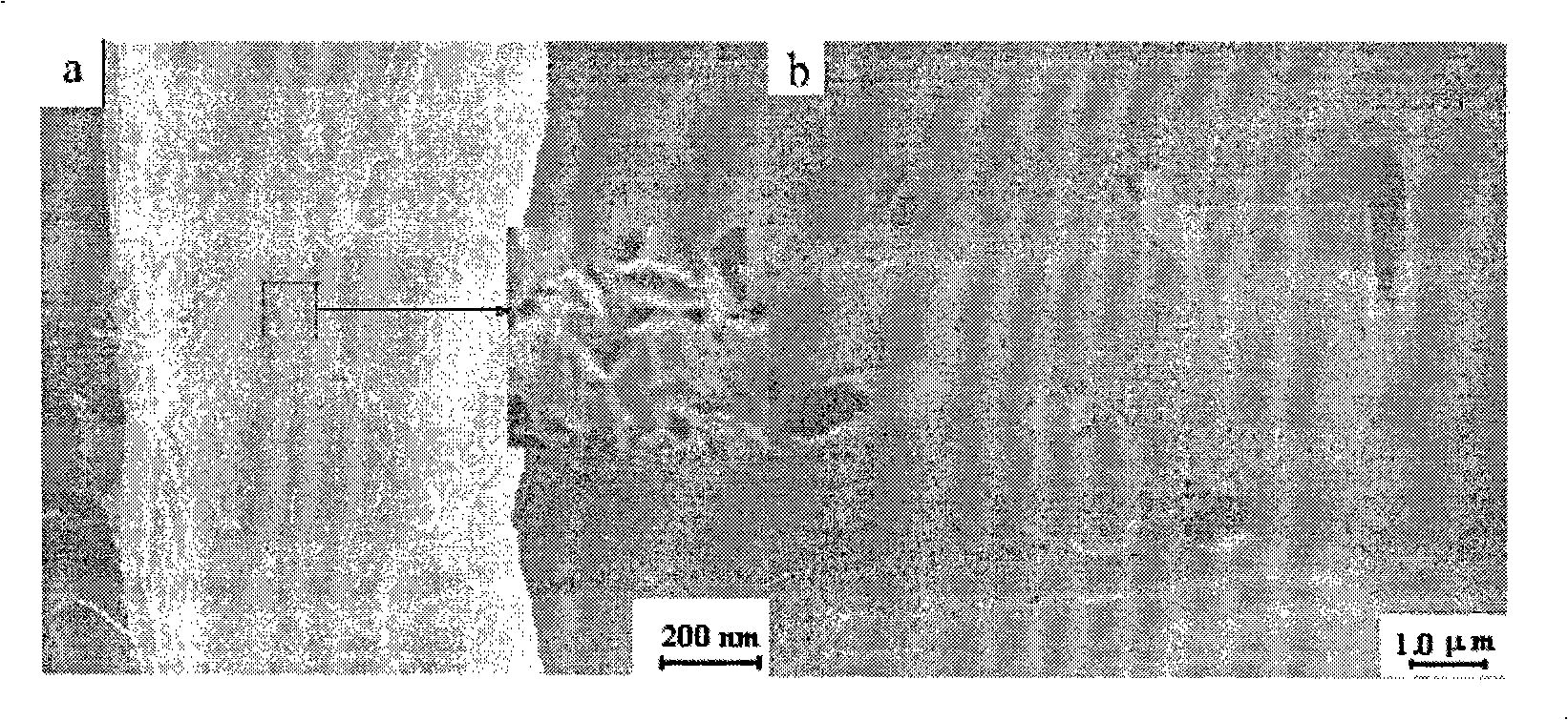 Magnetic ferrocobalt ferrite prepared by hard formwork method and preparation method thereof