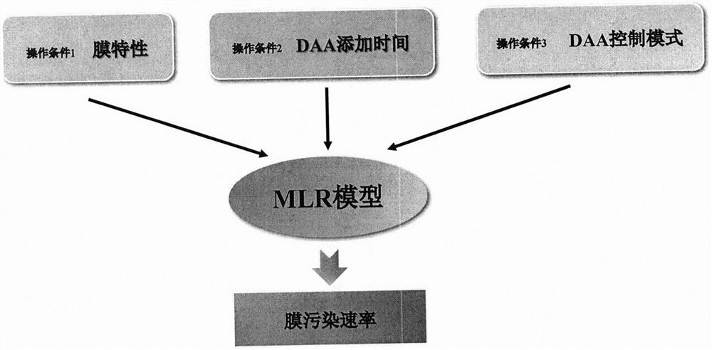 Intelligent optimization method for improving efficiency of D-amino acid for alleviating MBR membrane pollution