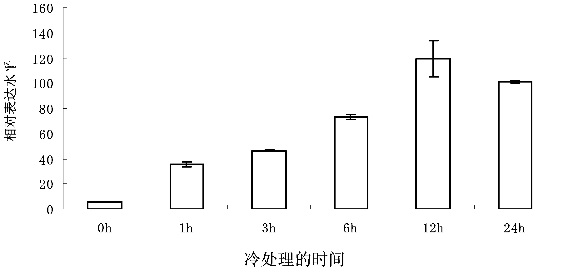 Cold induced promoter p-LTT1 for rice and application thereof