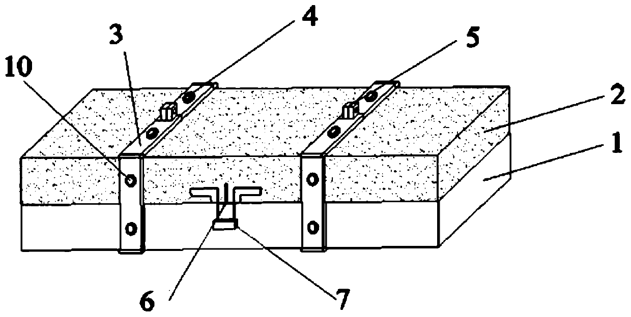 Sprayed concrete and surrounding rock fracture detection device and method