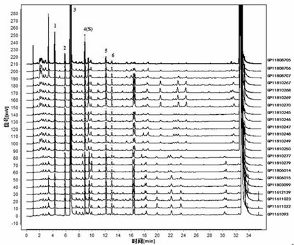 Construction method and identification method of ULC characteristic map of dog chi and hot dog chi medicinal materials