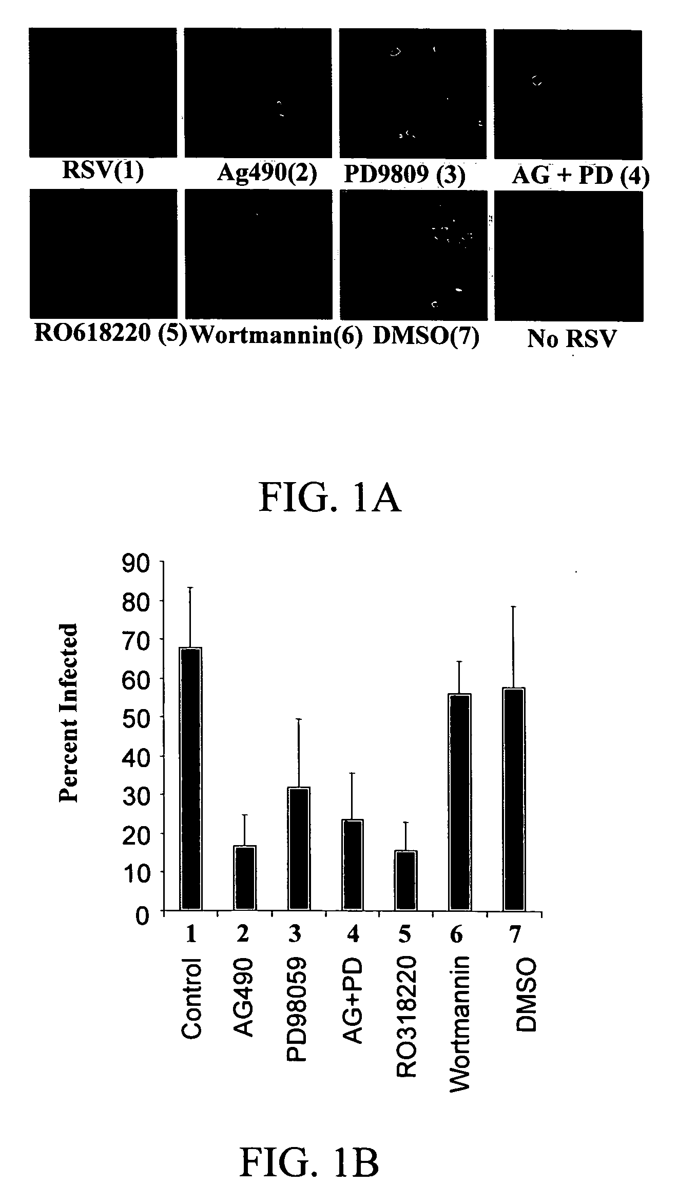 Protein kinase C as a target for the treatment of respiratory syncytial virus