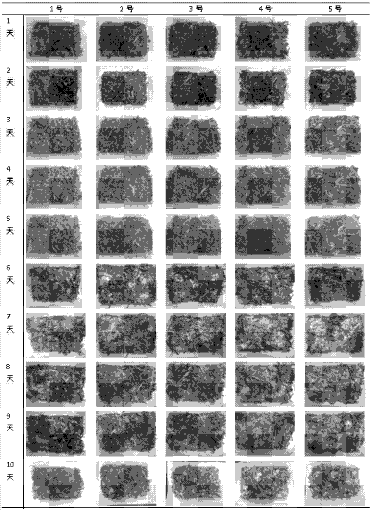 Trichoderma viride and application thereof