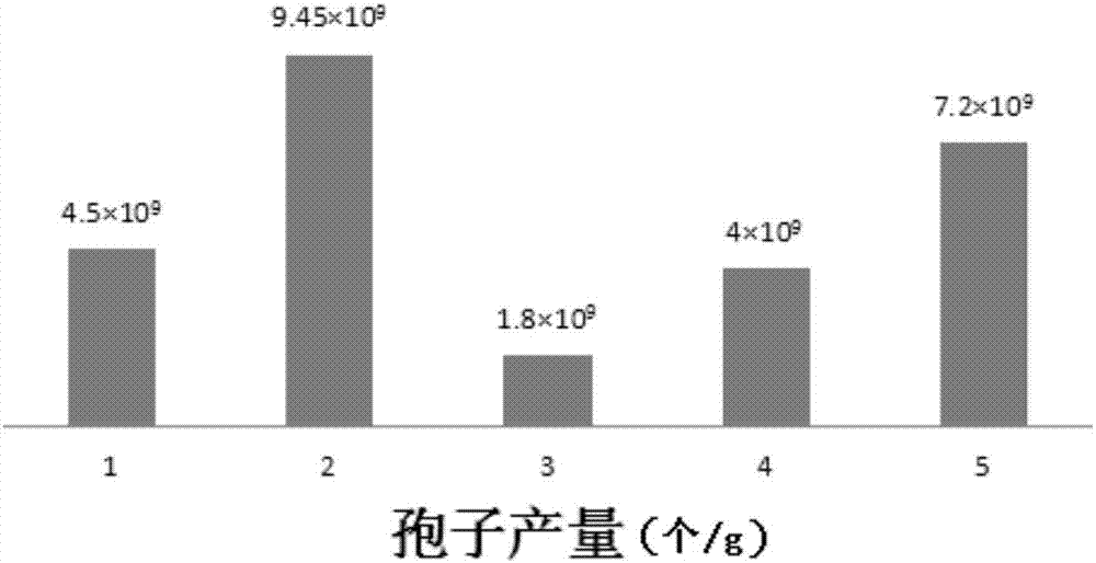 Trichoderma viride and application thereof