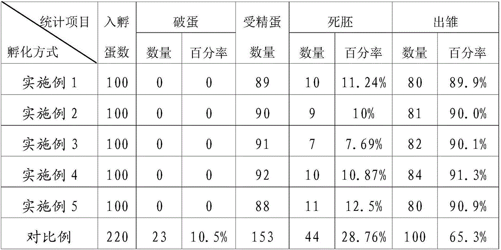 Method for artificially hatching pigeon eggs