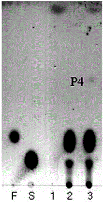 Preparation method of carbohydrate derivative by utilization of glycosyl transferase