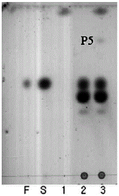 Preparation method of carbohydrate derivative by utilization of glycosyl transferase