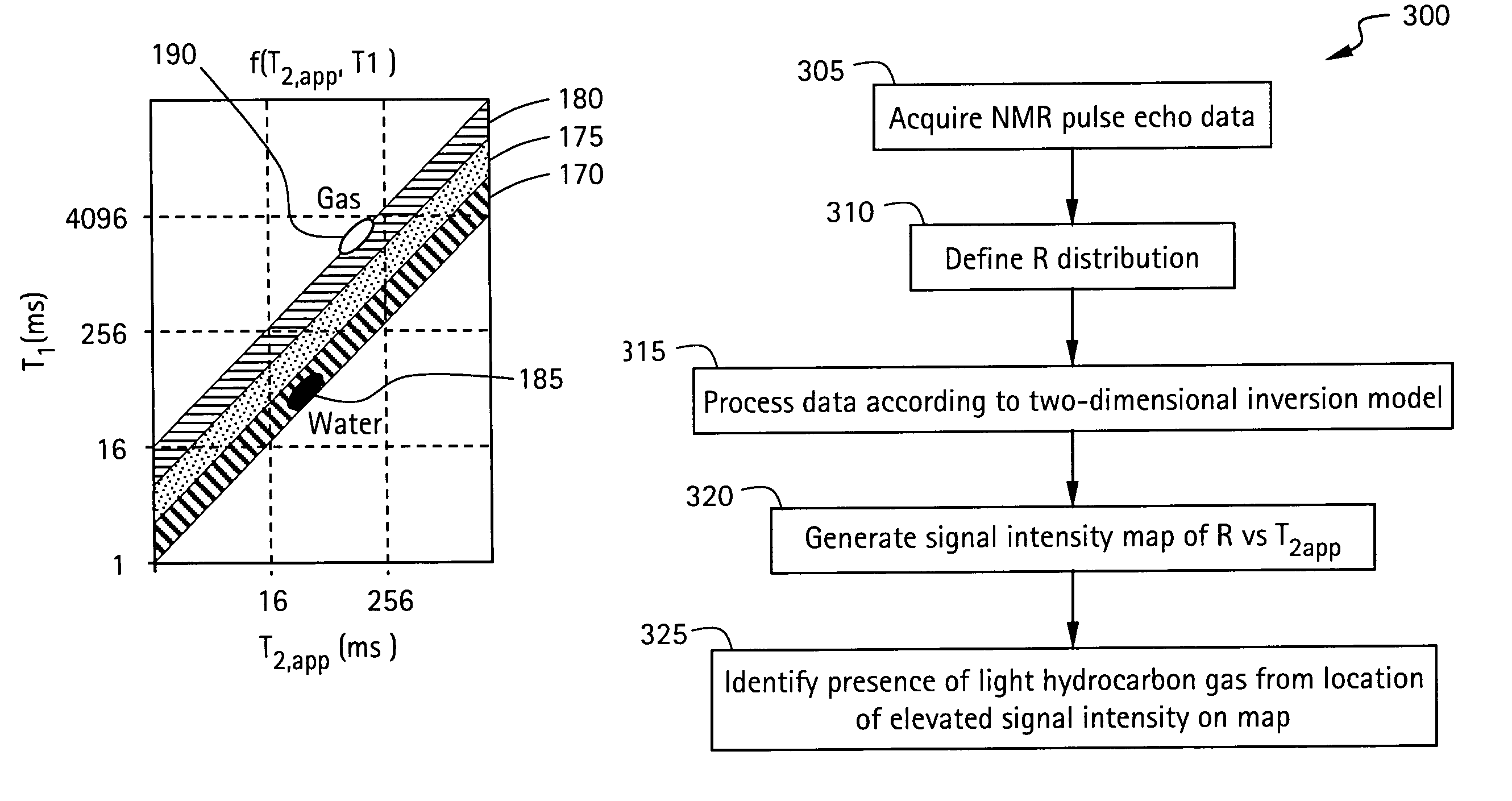 Method and apparatus for reservoir fluid characterization in nuclear magnetic resonance logging