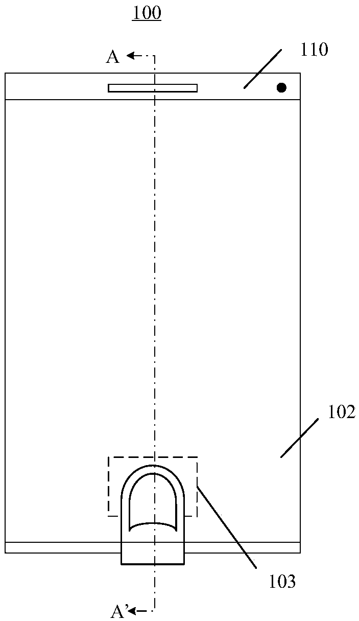 Under-screen biological identification device and electronic device