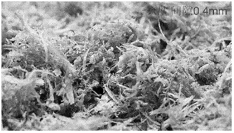 Method for preparing reconstituted tobacco paper base made from tobacco stems