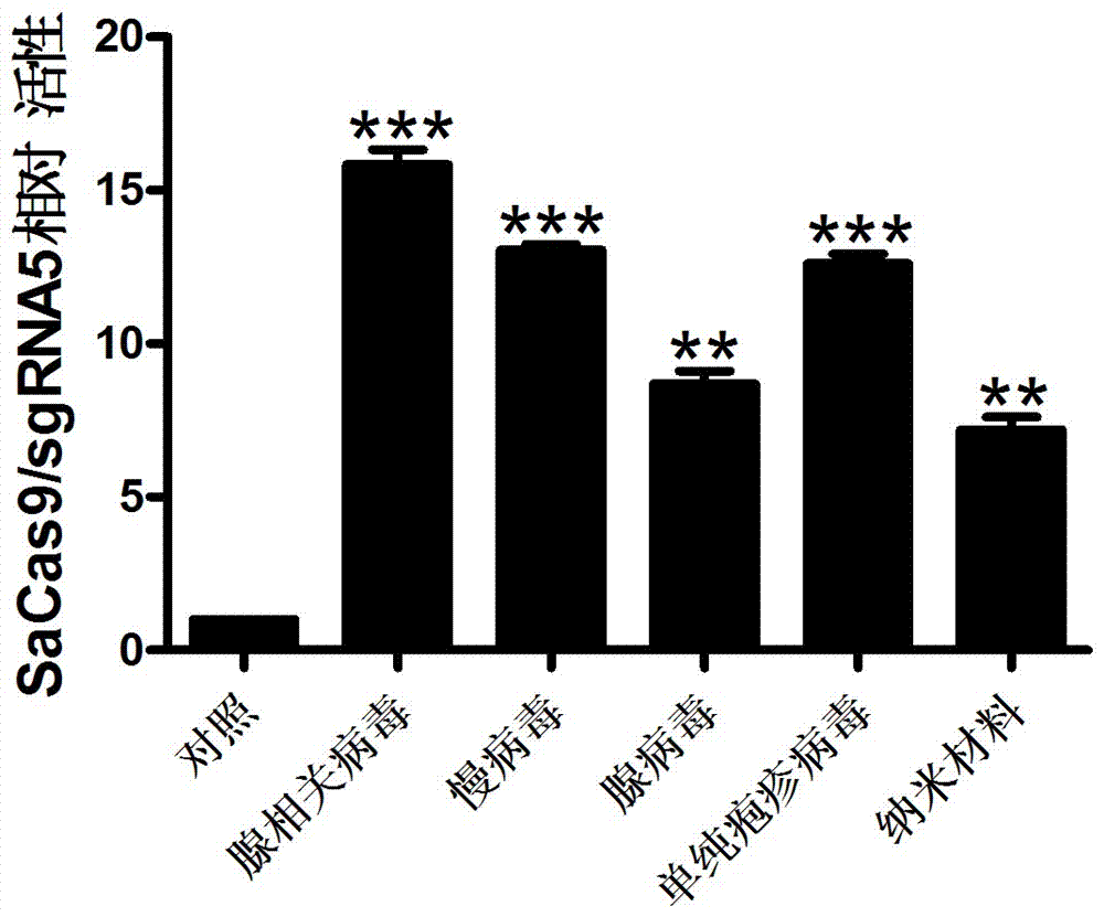 A gene-vector-mediated sgRNA based on a CRISPR/Cas9 gene editing system and uses of the sgRNA