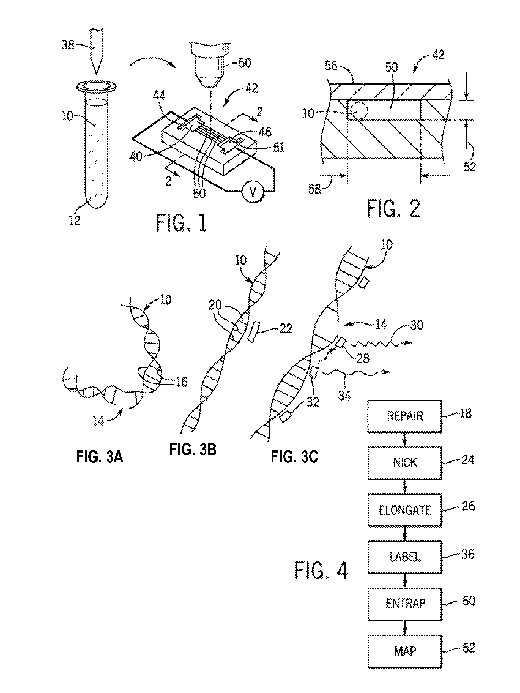 Method of DNA analysis using micro/nanochannel