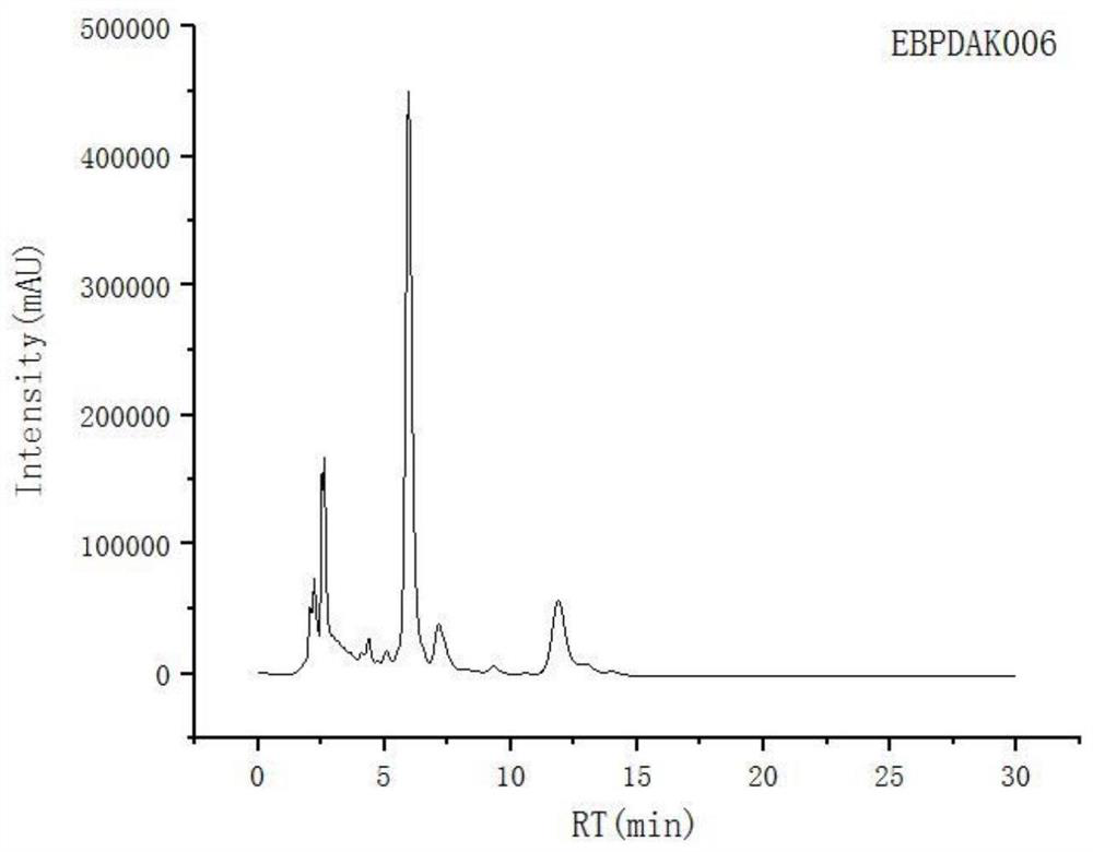 A kind of high-yield bacterial strain of Hubei Ophiopogon japonicus polysaccharide and its application