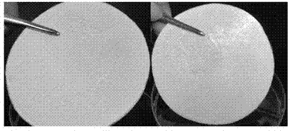 Asymmetric double-crosslinked composite material, as well as preparation method and application of same