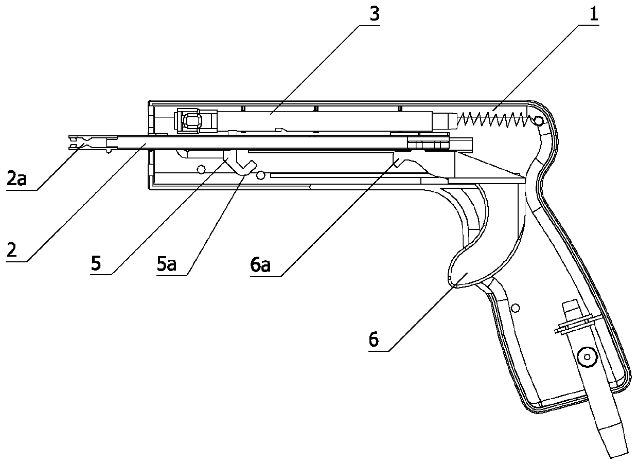 Adjustable elastic-line ligation apparatus