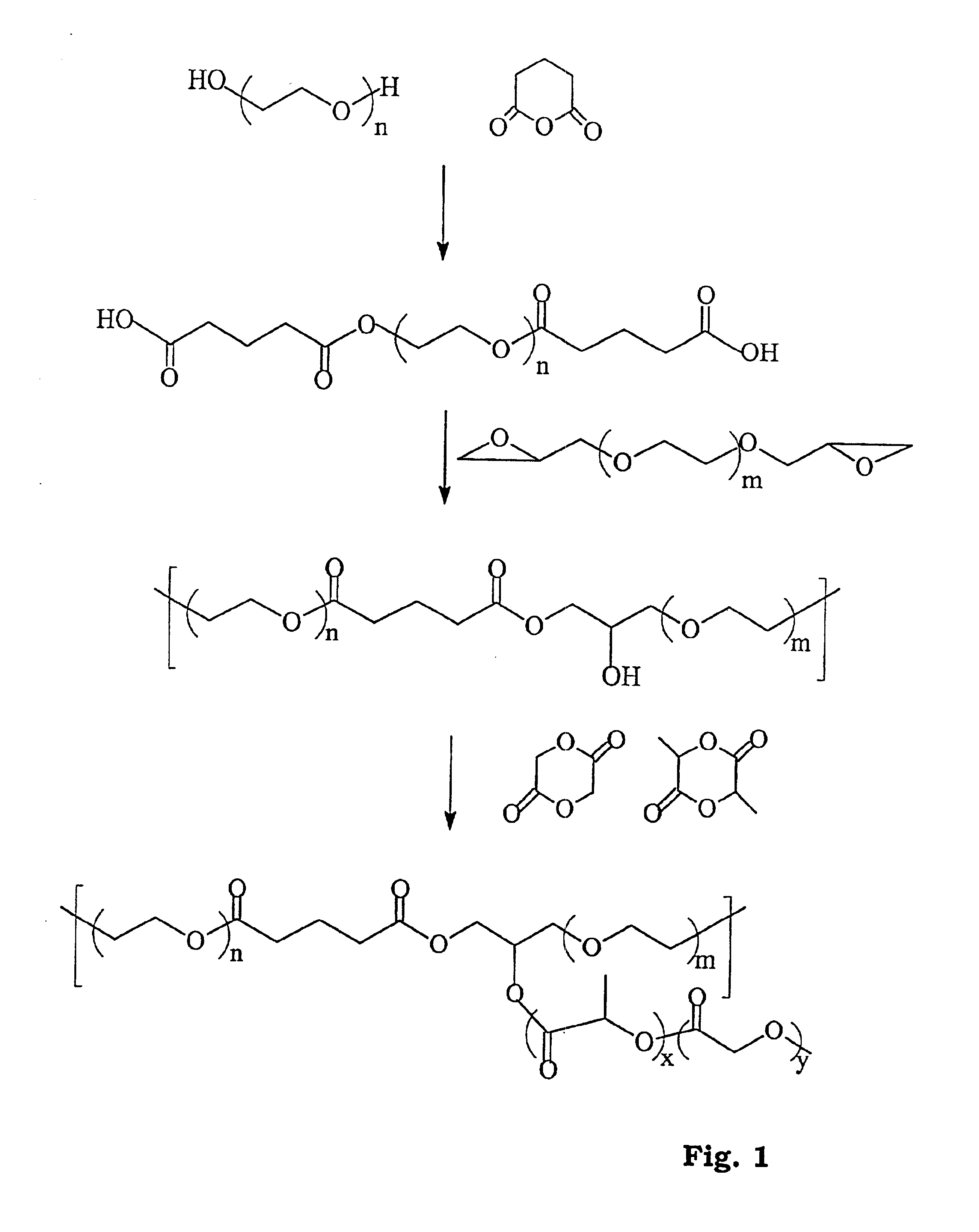 Thermogelling biodegradable aqueous polymer solution