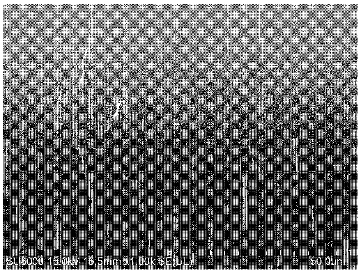 Conductive hydrophobic membrane and preparation method thereof, and electrothermal membrane distillation assembly containing same