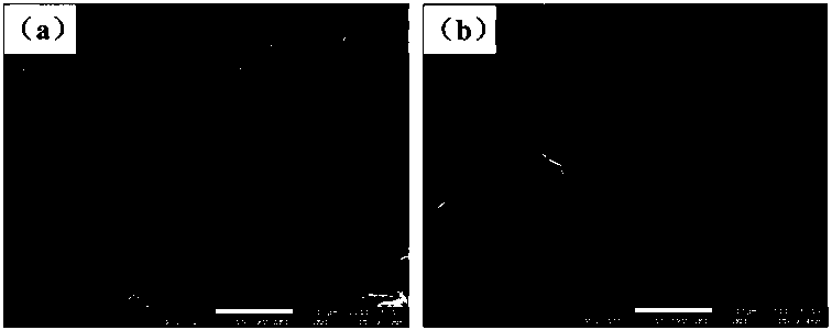 A cu-doped cubic ca2si thermoelectric material