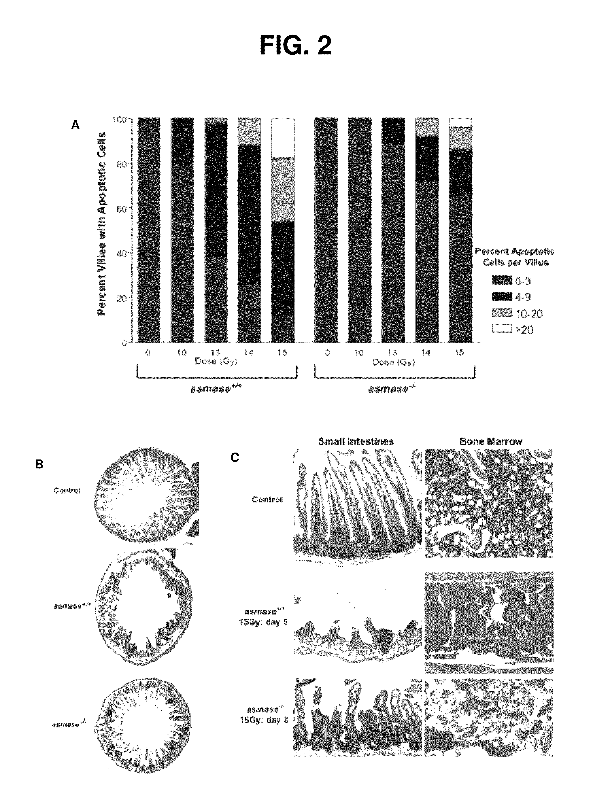 Methods for treating GI syndrome and graft versus host disease