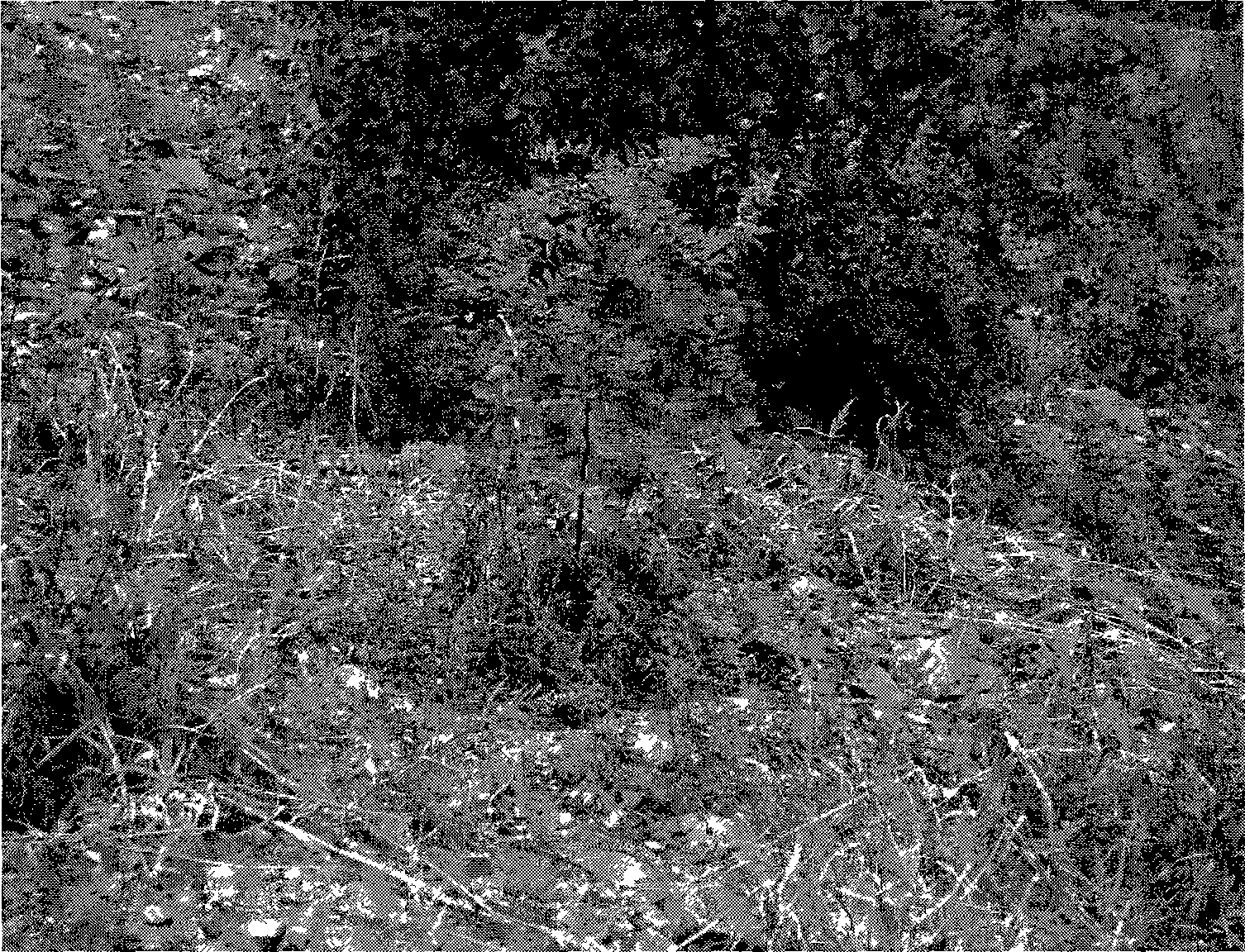 Artificial soil, and formulating method and use thereof