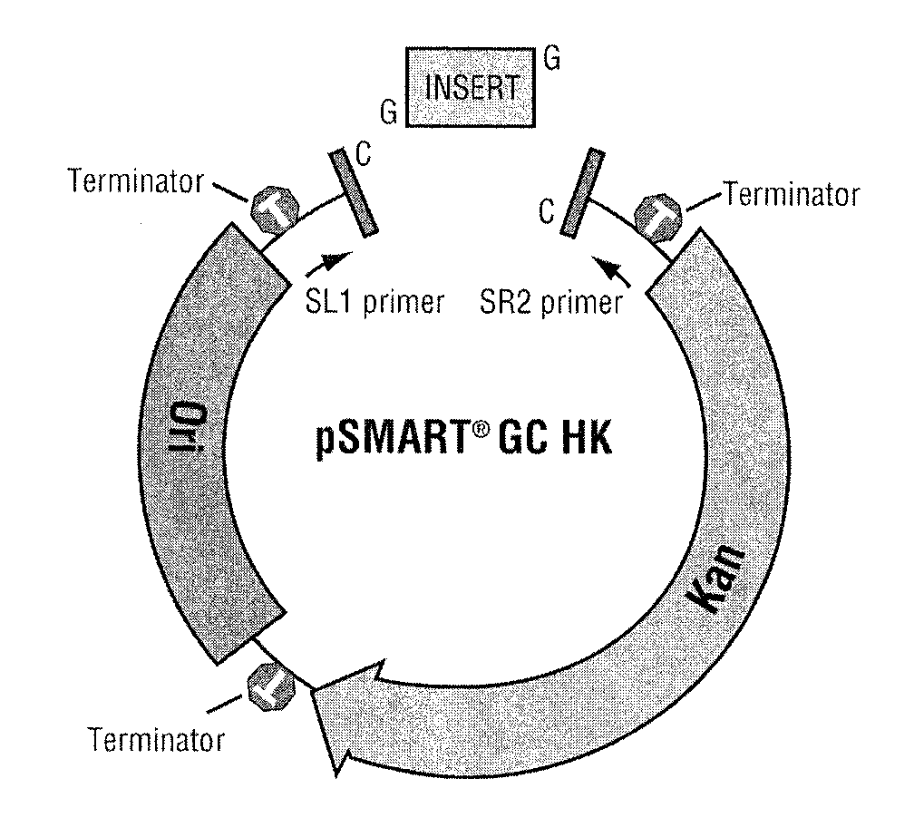 Vectors, kits and methods for cloning DNA