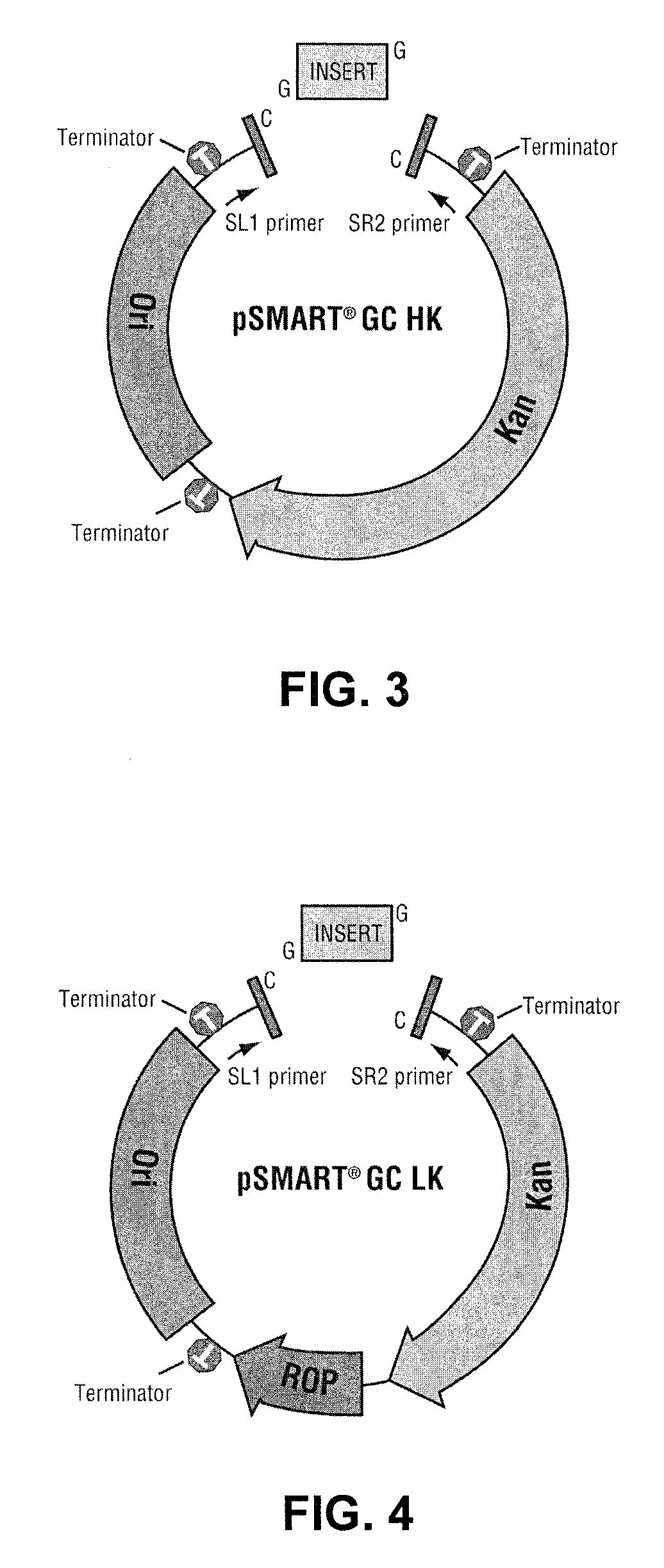 Vectors, kits and methods for cloning DNA