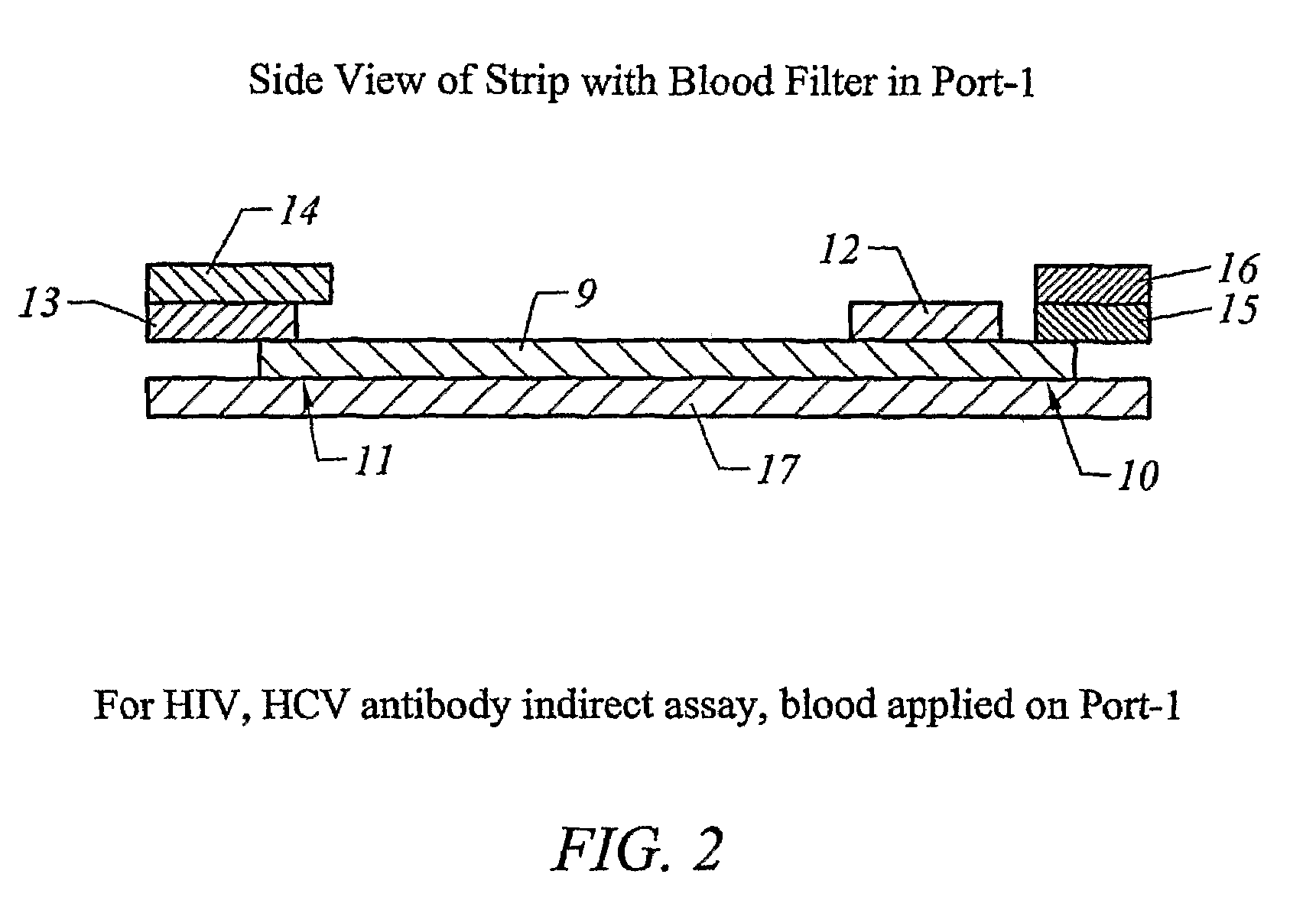 Lateral flow system and assay