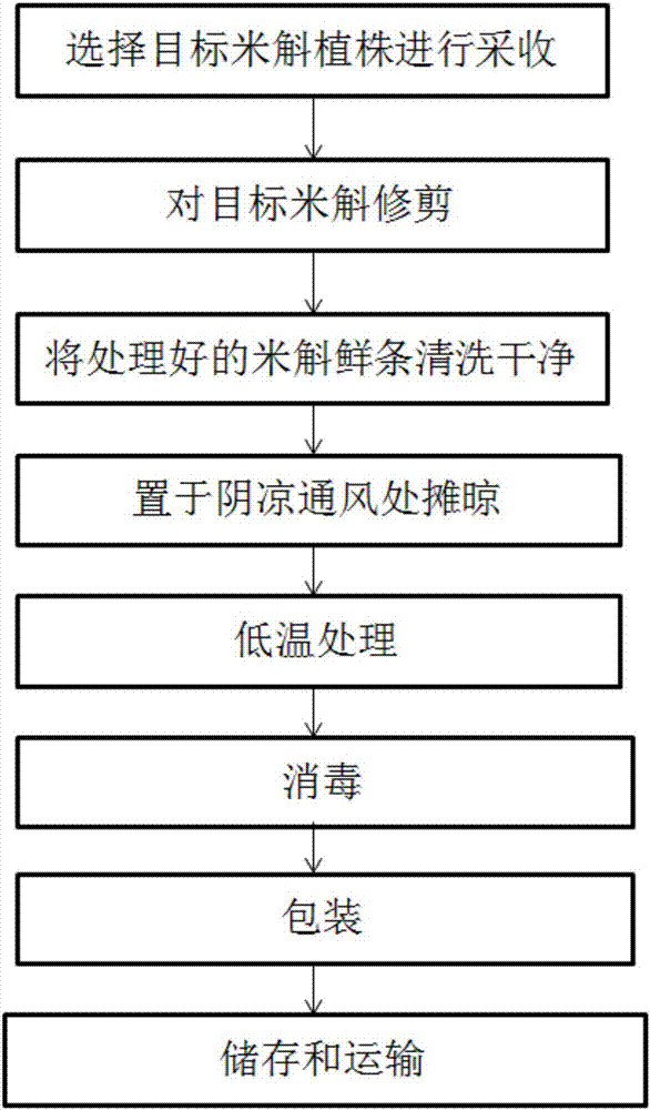 Processing method of ready-to-eat dendrobium huoshanense fresh strips