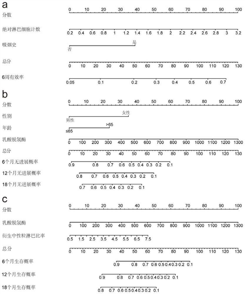 Non-small cell lung cancer patient curative effect and prognosis prediction system