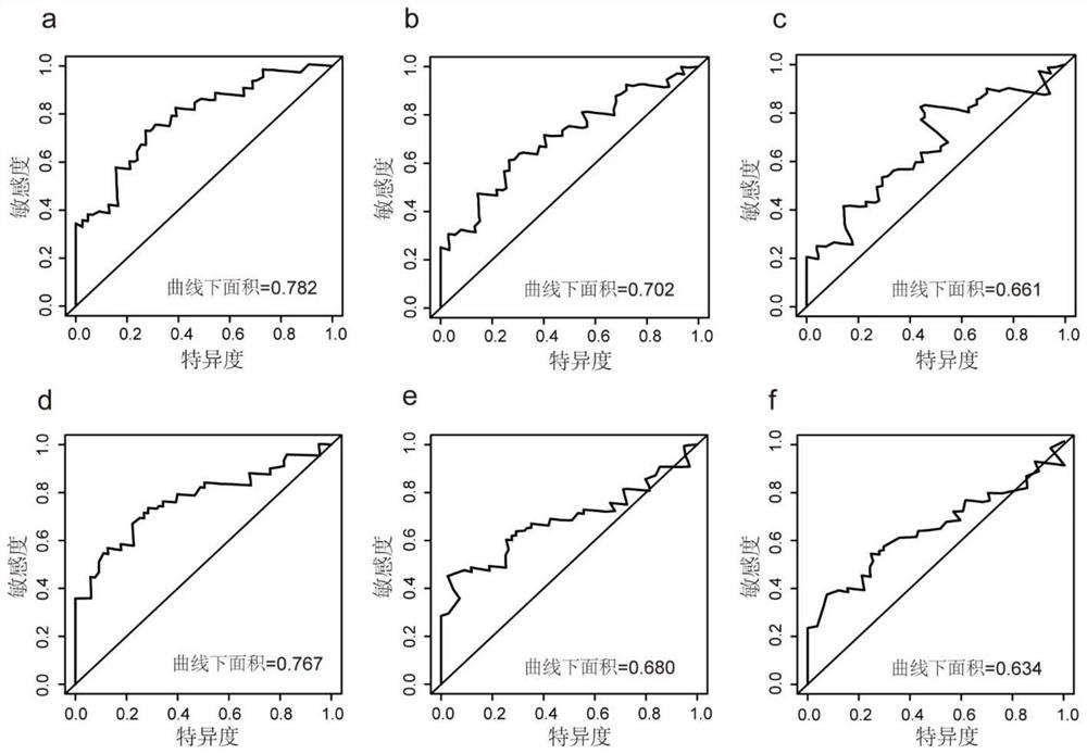 Non-small cell lung cancer patient curative effect and prognosis prediction system