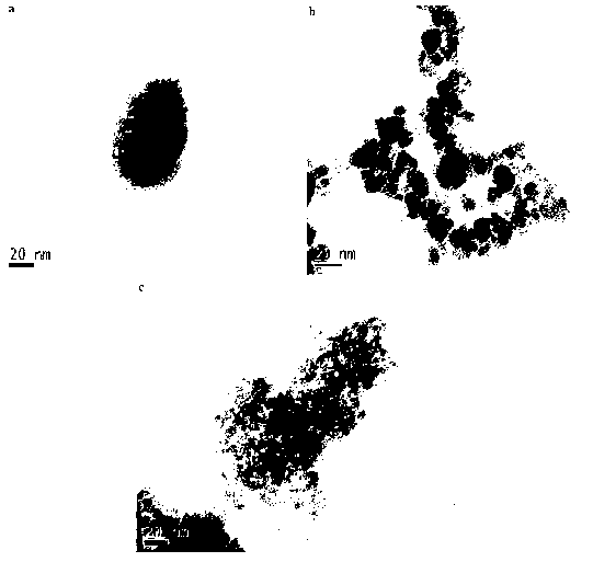 Hydrothermal liquid phase preparation method of magnetic kaolinite/chitosan composite