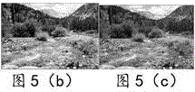 Image processing method and apparatus