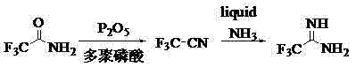 Preparation method of trifluoroacetamidine