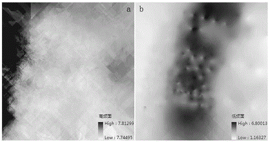 Riparian sludge thickness calculating and mapping method based on kriging interpolation