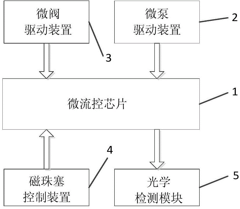 Immune agglomeration detection method, chip and system based on micro-fluidic chip