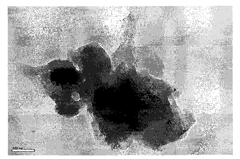 Preparation method of composite anode material for lithium element sulphur secondary battery