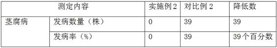 Cultivation method for improving disease resistance of syringa vulgaris