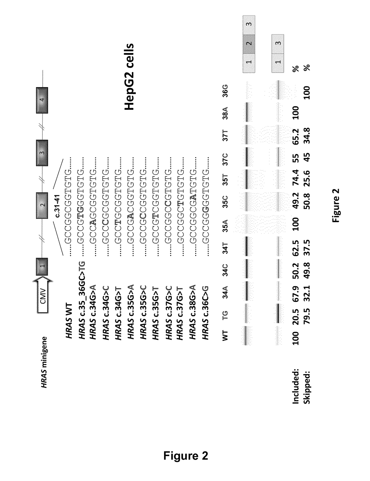 Ras exon 2 skipping for cancer treatment