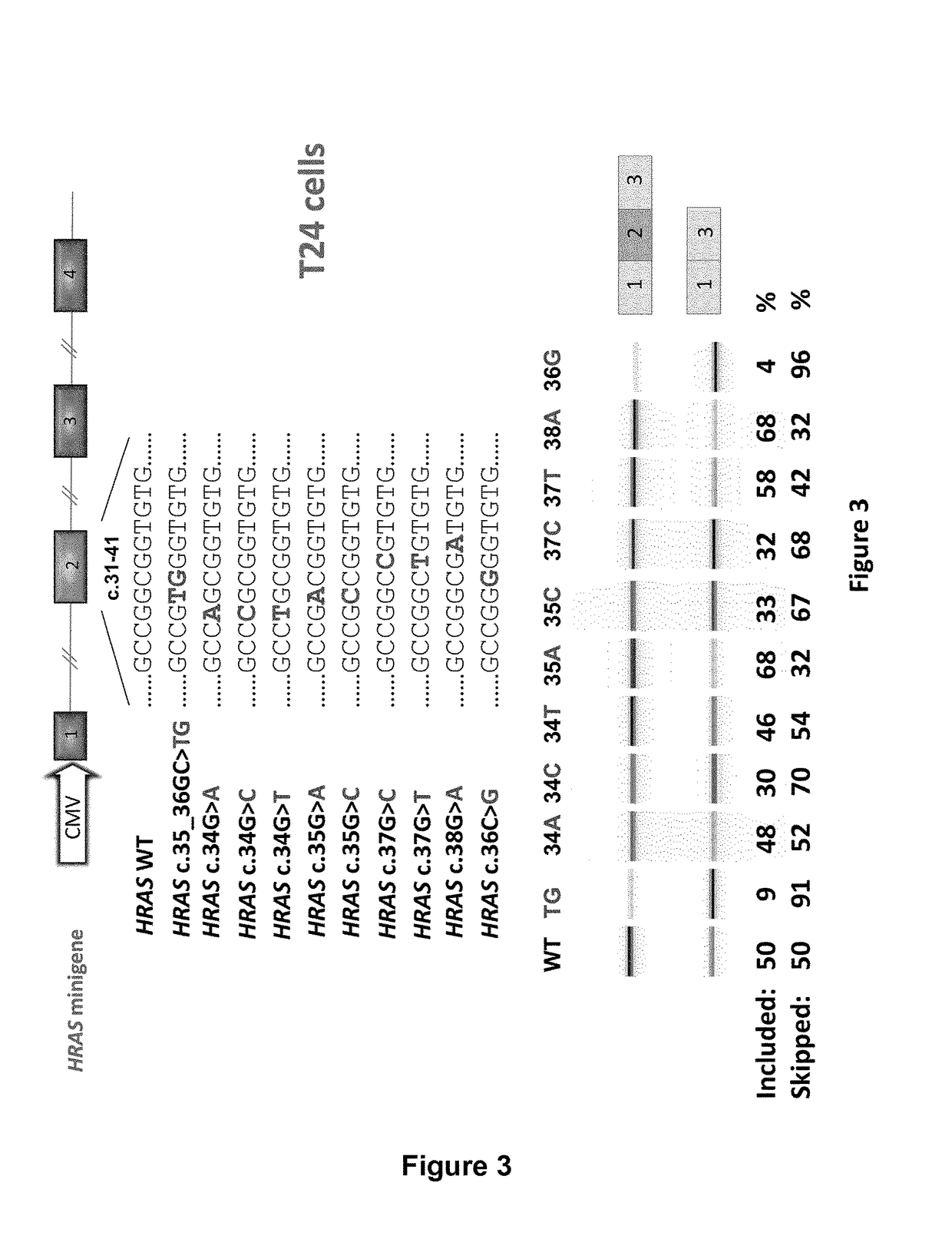 Ras exon 2 skipping for cancer treatment