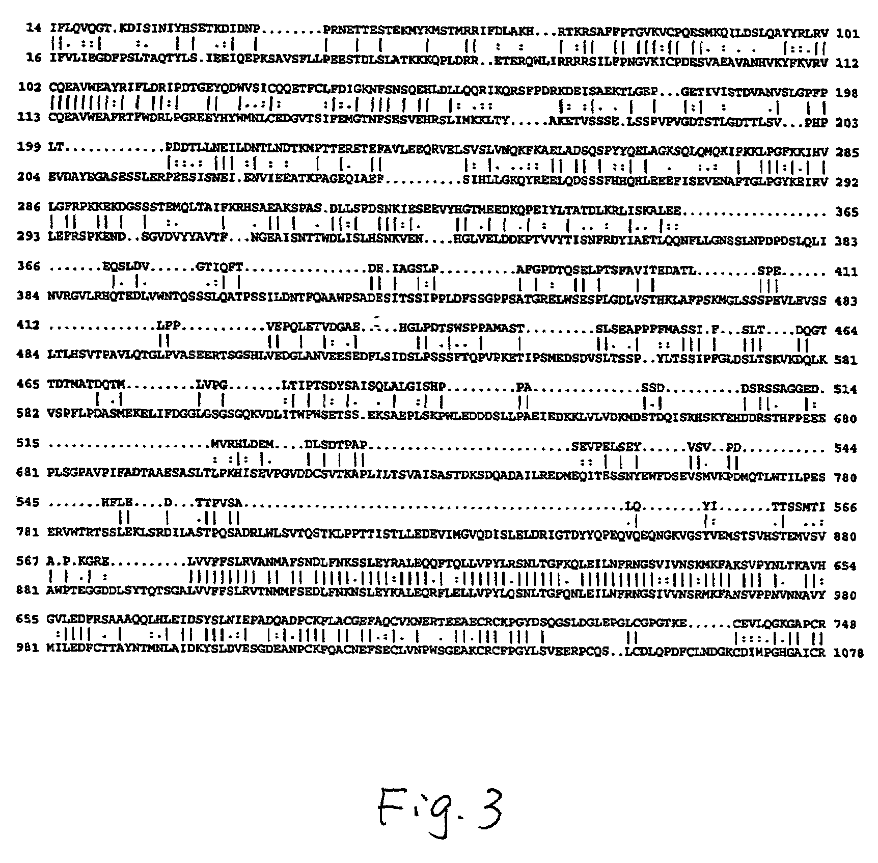 Nucleic acids encoding interphotoreceptor matrix proteins