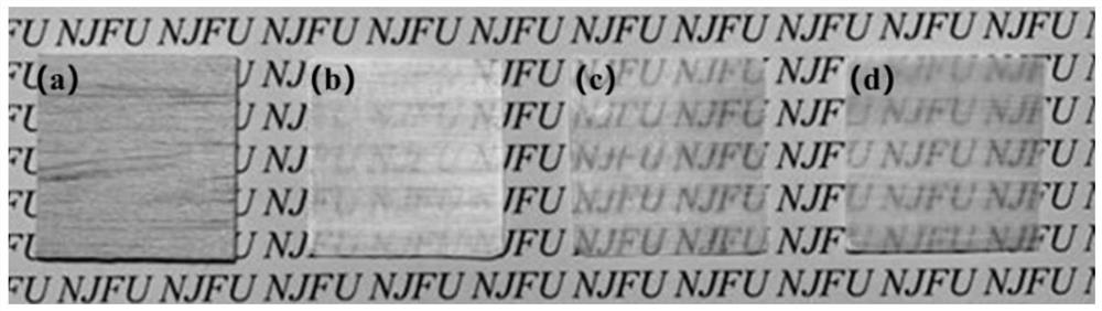 Preparation method of high-strength flexible wood film