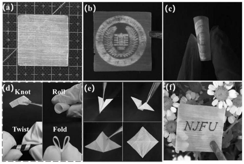 Preparation method of high-strength flexible wood film