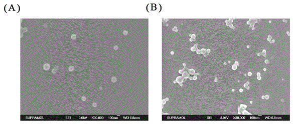 Herceptin modified paclitaxel-carried targeting nanoparticle transfer system