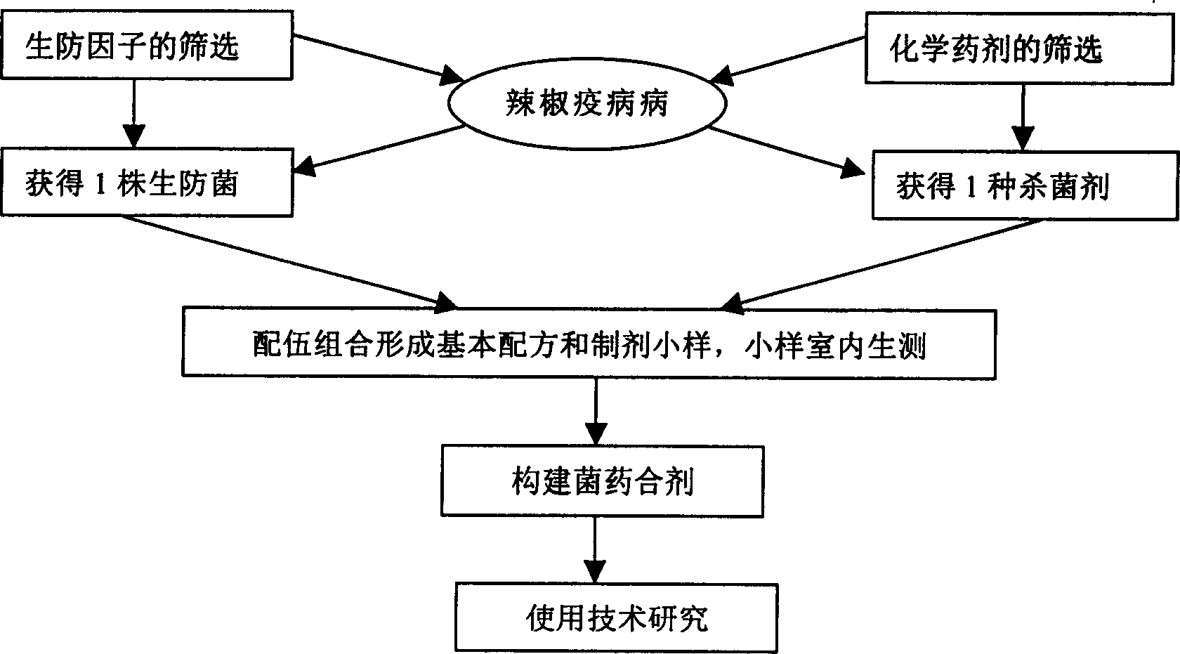 Mixture of bacterial medicine for controlling vegetable epidemic disease and preparation method