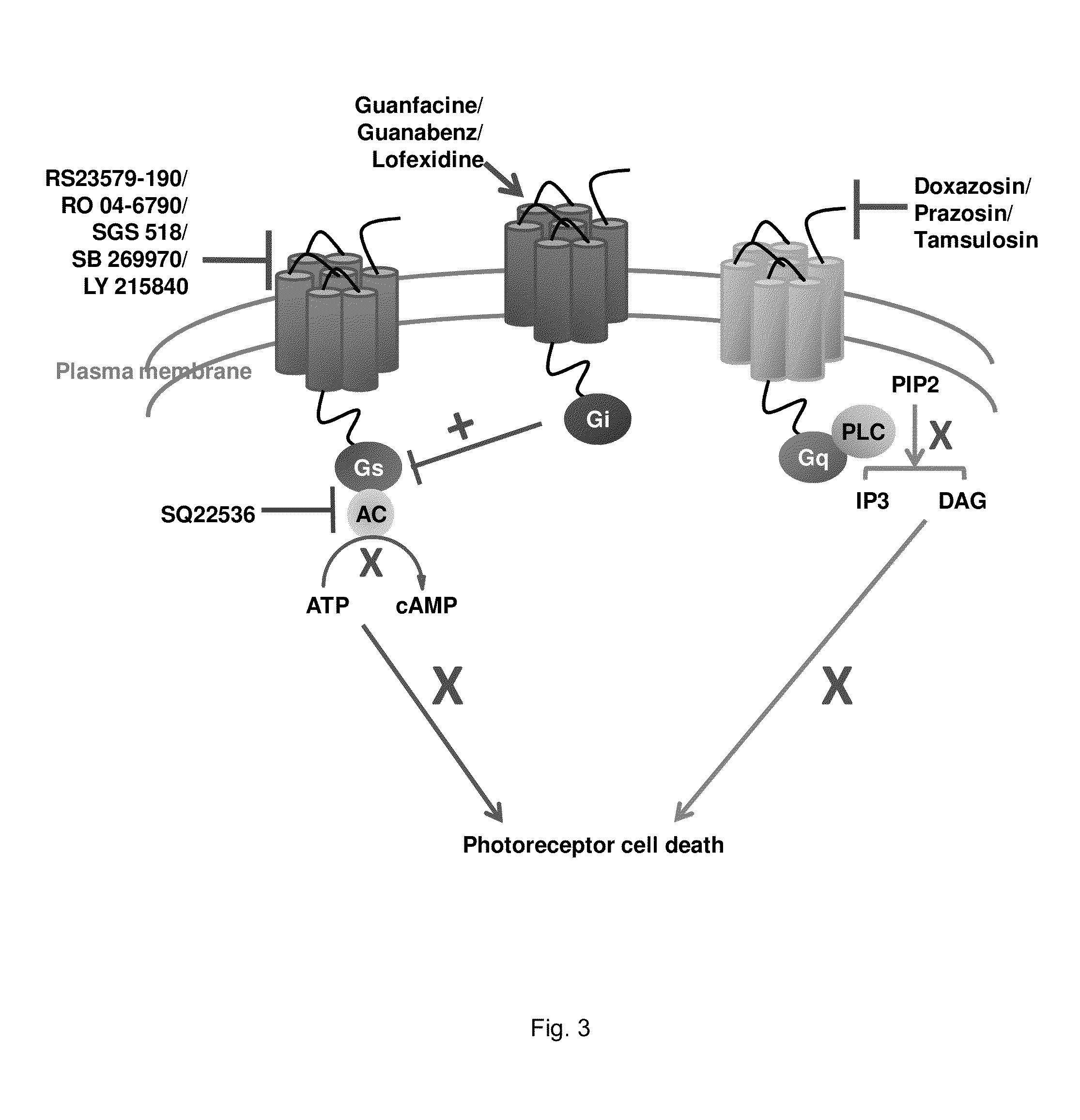 Compounds and methods of treating ocular disorders