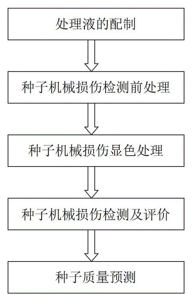 Rapid detection and evaluation method for mechanical injury of corn seeds