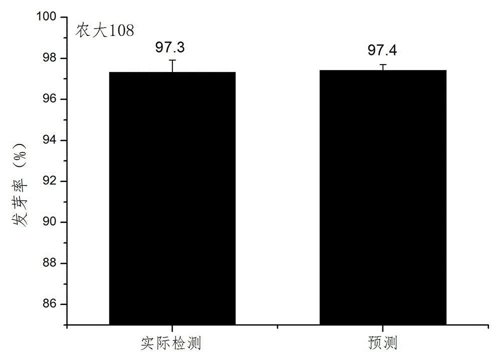 Rapid detection and evaluation method for mechanical injury of corn seeds