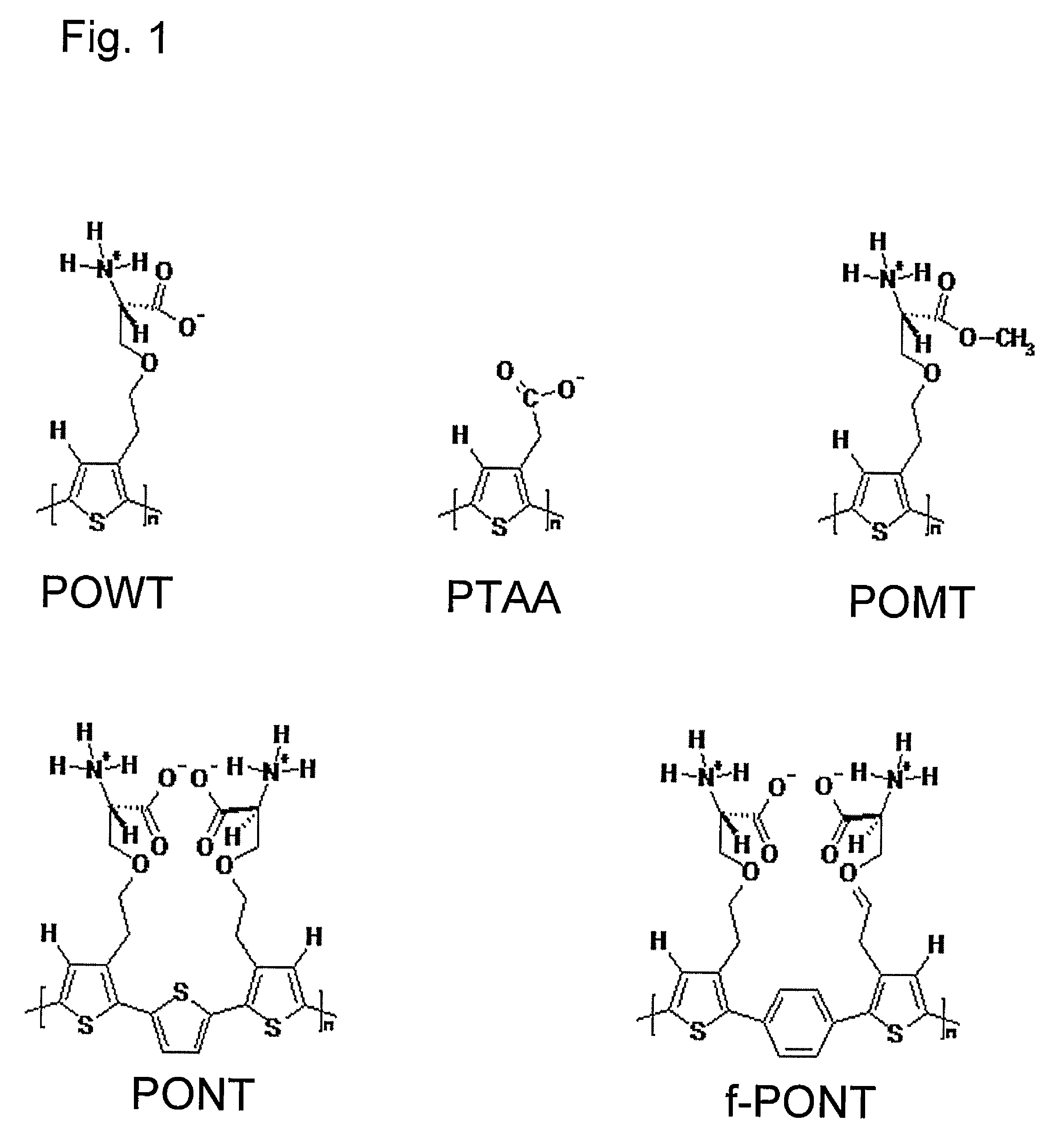 Methods for determining conformational changes and self-assembly of proteins