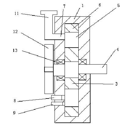 Vaned petrol engine