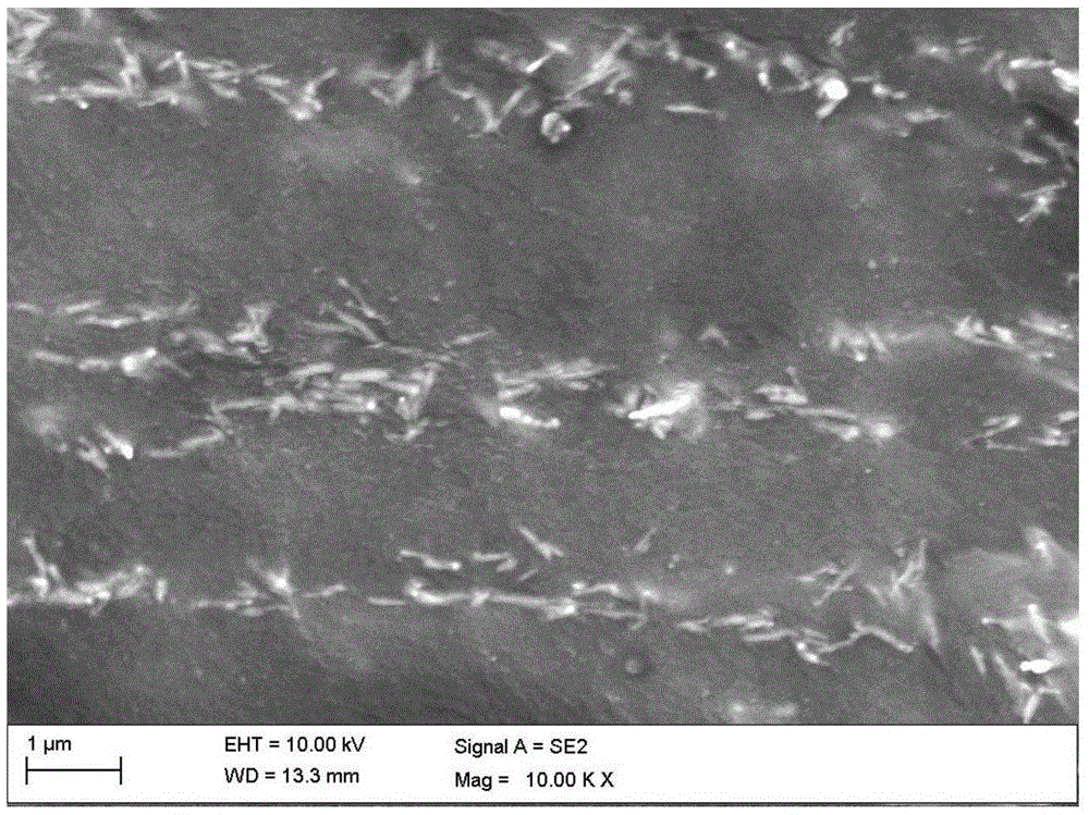 Antifouling material with directionally arranged acicular filler and preparation method thereof